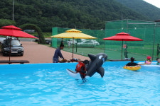 소나무풍경펜션