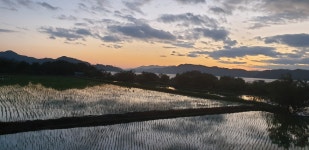 경성공인중개사사무소