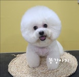 우리똥강아지