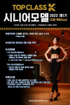 한국장애인대중문화예술협회