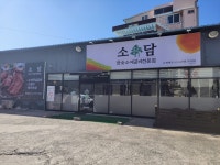 소담
