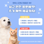 인천강아지분양 고양이분양 도그마루