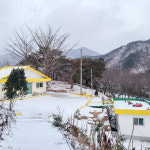 남도187