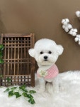 그루몽 펫살롱