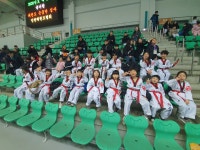 한국체대백호태권도장
