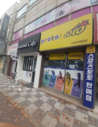 스포츠토토