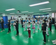 연세태권도