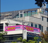 동고동락 대구결혼정보회사