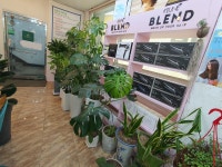 라트리헤어 스파힐 대전자양점