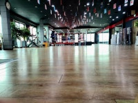 마초 복싱다이어트