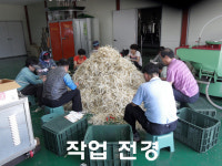 영주백도라지영농조합법인