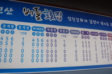 버들횟집