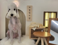 개예쁨주의