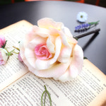 비아케이스튜디오