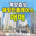 해링턴썬데이부동산공인중개사사무소