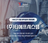 티에프시스템