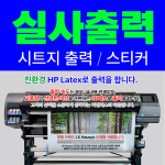 피엔에스
