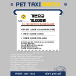 올리스 펫택시 9974