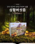 곰메협동조합