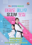 하나용인대태권도장