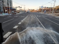 울산 물드림