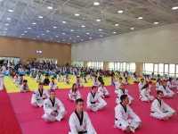 DKB 삼성 태권도.합기도