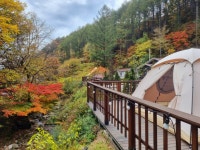 스탈릿캠핑펜션