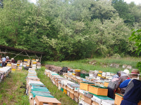 지리산벌꿀농원