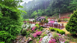 스탈릿캠핑펜션
