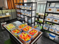 온그린골프 동탄점