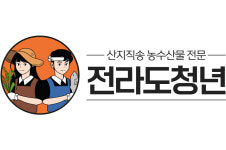 전라도청년