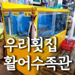 선해양수족관