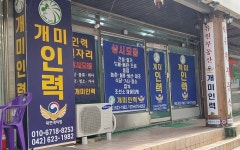 개미인력 대전대덕점