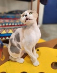 고양이미용호텔 캣츠앤