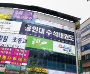 용인대수석태권도