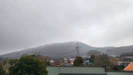 선흘별숲