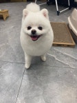 유독이쁨