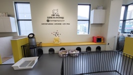 오프독 반려견 종합교육문화센터