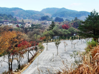 월현포레스트