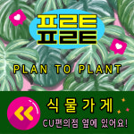 플랜투플랜트