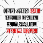 SK텔레콤 알파대리점 다산지금지구점