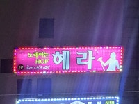노래하는호프헤라