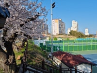 함평구룡테니스장