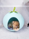 이뿌고이뿌개