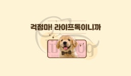 라이프독 인천본점 24시 강아지분양 고양이분양