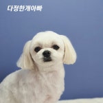다정한개아빠