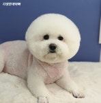 다정한개아빠