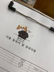 댕데이지