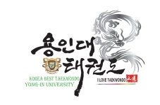 용인대태권도