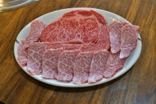 참한우